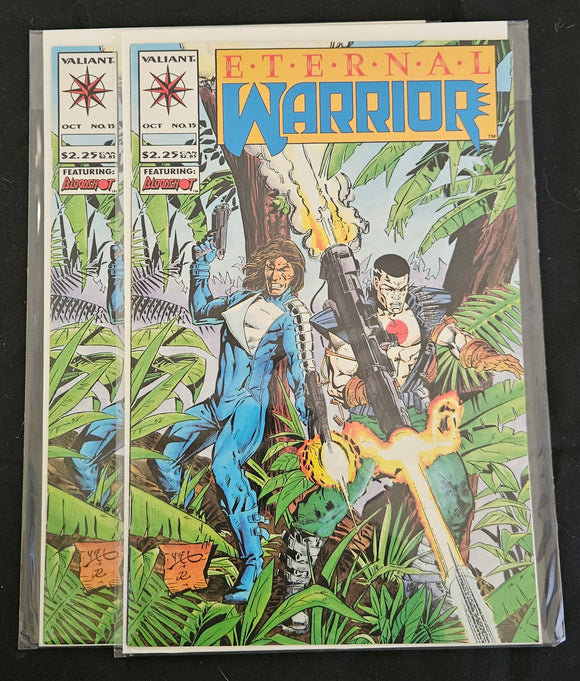 Valiant Comic Book - Eternal Warrior #15 (1993) | Chaos Effect Part 1 | NM